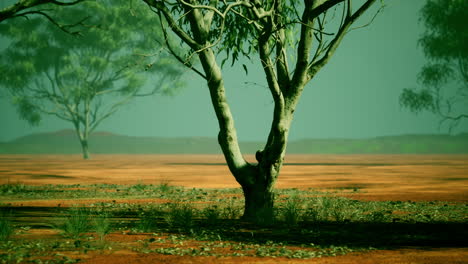 Tres-árboles-De-Acacia-En-Un-Paisaje-Africano