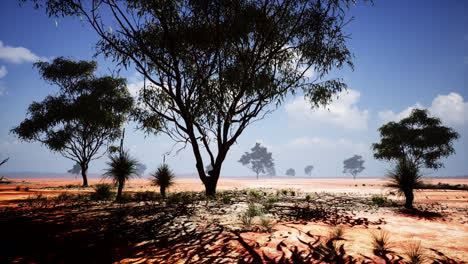 Afrikanische-Landschaft-Mit-Akazienbäumen