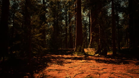 Sequoia-Nationalpark-In-Kalifornien