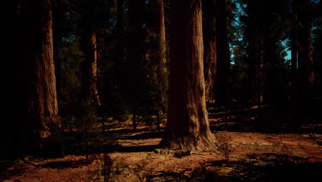 Group-of-Giant-Sequoia-Trees-in-Yosemite-National-Park-on-sunny-day