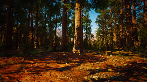 famous-Sequoia-park-and-giant-sequoia-tree-at-sunset