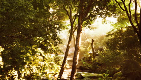 beautiful-green-forest-glade-in-a-light-of-sun
