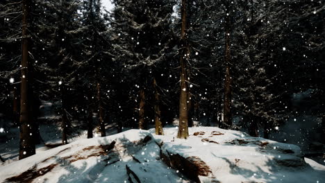 Bosque-De-Invierno-En-La-Nieve