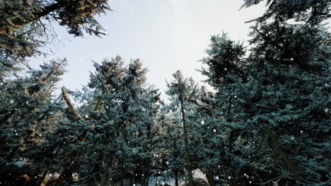 Bosque-De-Invierno-En-La-Nieve