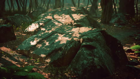 creepy-mystic-magic-deep-forest