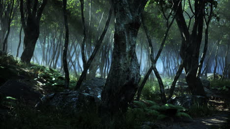Gruseliger-Mystischer-Magischer-Tiefer-Wald