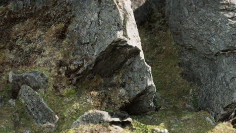 Nahaufnahme-Einer-Felsformation