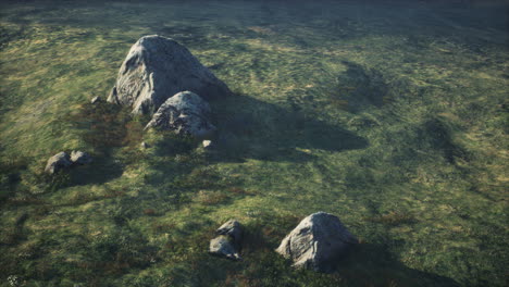 Alpine-landscape-with-big-stones