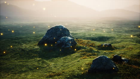 big-stones-in-grass-field