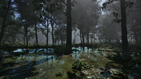 Mystischer-Nebliger-Sumpf-Mit-Bäumen