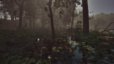 Rays-of-light-falling-through-the-mist-and-trees-in-the-swamp