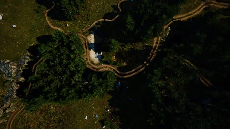 Aerial-view-of-the-road-through-the-forest