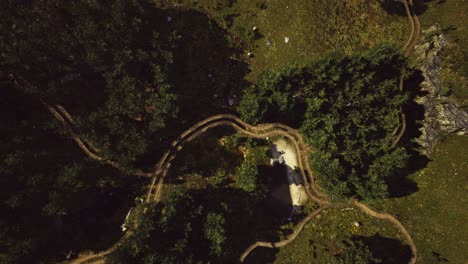 Aerial-view-of-the-road-through-the-forest