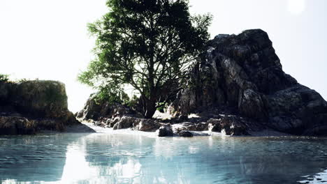 Beautiful-mountain-sea-cliff-on-seashore-with-tree