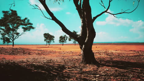 Schöne-Landschaft-Mit-Baum-In-Afrika