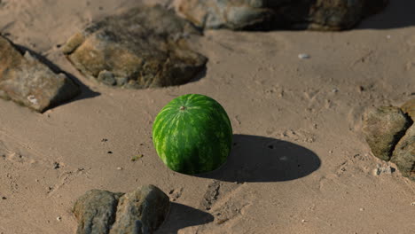 big-and-juicy-watermelon-on-the-beach-sand
