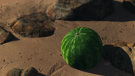 Große-Und-Saftige-Wassermelone-Auf-Dem-Strandsand