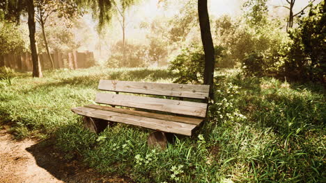 Bench-in-the-summer-park-with-old-trees-and-footpath