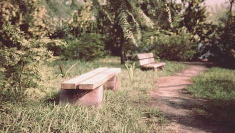 Bench-in-the-summer-park-with-old-trees-and-footpath