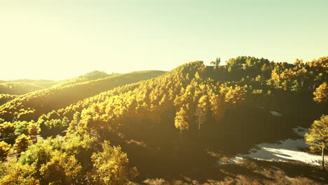 Luftdrohnenansicht-Eines-Bergwaldes-Mit-Bunten-Herbstbäumen
