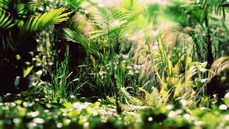 close-up-jungle-grass-and-plants