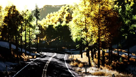 Curvy-asphalt-road-through-forest-in-autumn