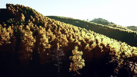 Bunte-Bergkette-Im-Herbst-Mit-Rot-orangefarbenem-Und-Goldenem-Laub
