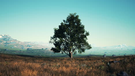landscape-with-a-hill-and-a-single-tree-at-sunrise-with-warm-light