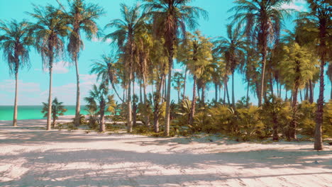 Parque-De-Playa-Sur-De-Miami-Con-Palmeras