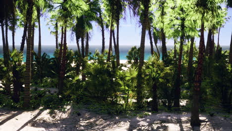Miami-South-Beach-park-with-palms