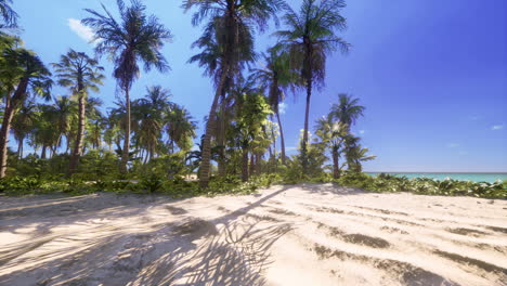 Miami-South-Beach-park-with-palms