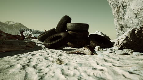 Alte-Reifen-überwuchert-Im-Sand-Eingebettet