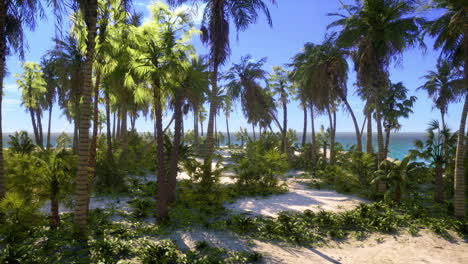 Paradieslandschaft-Mit-Tropischem-Strand-Mit-Ruhigen-Meereswellen-Und-Palmen