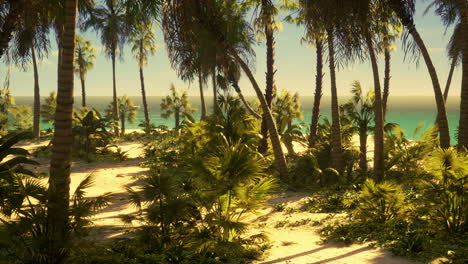 Playa-De-Palmeras-En-Una-Isla-Tropical-Idílica-Paradisíaca