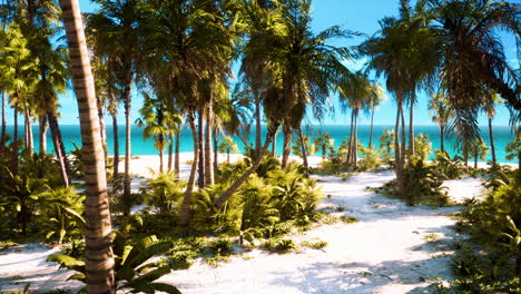 Palmenstrand-Auf-Einer-Tropischen,-Idyllischen-Paradiesinsel