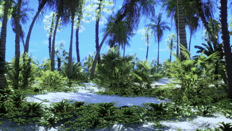 Tropischer-Strand-Mit-Kokospalme