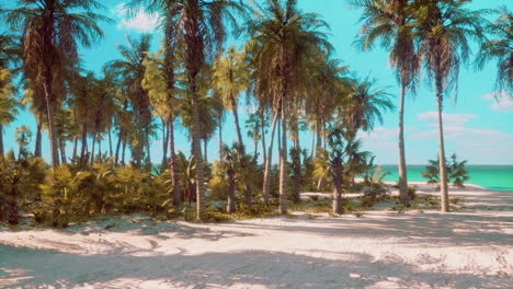 Tropisches-Paradies-Mit-Weißem-Sand-Und-Palmen
