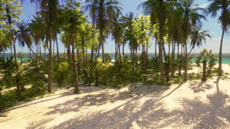 tropical-beach-with-coconut-palm-tree