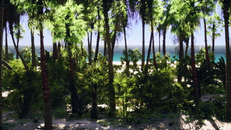 Tropisches-Paradies-Mit-Weißem-Sand-Und-Palmen