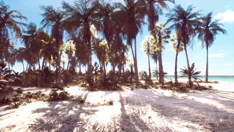 Tropical-paradise-with-white-sand-and-palm-trees