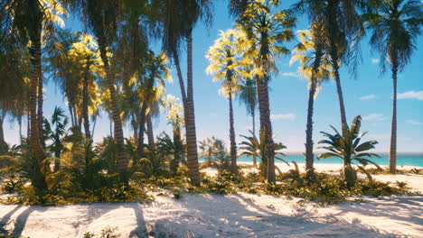 Tropical-paradise-with-white-sand-and-palm-trees