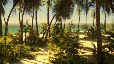 Tropischer-Strand-Mit-Weißem-Sand,-Türkisfarbenem-Wasser-Und-Palmen