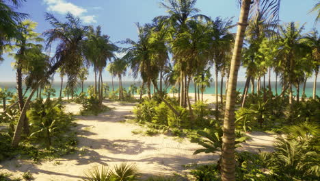 Tropical-Beach-with-white-sand-turquoise-water-and-palm-trees