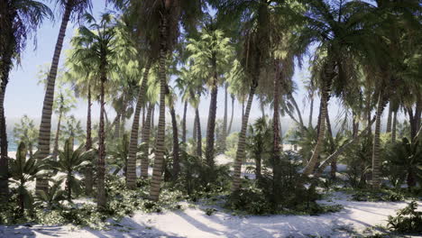 Tropischer-Strand-Mit-Weißem-Sand,-Türkisfarbenem-Wasser-Und-Palmen