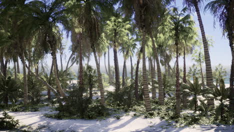 Tropical-Beach-with-white-sand-turquoise-water-and-palm-trees