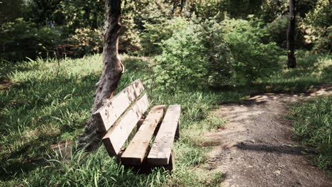 Seating-area-on-the-Valley-walking-trail