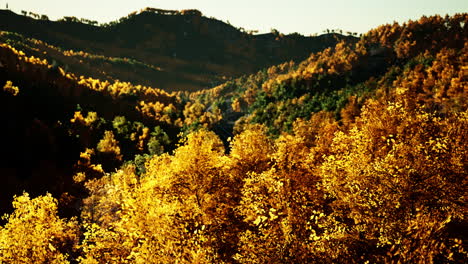 Stunning-landscape-during-fall-for-September