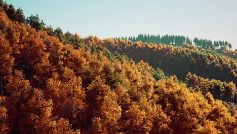 Stunning-landscape-during-fall-for-September