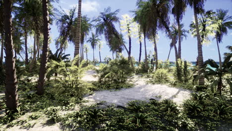 Blick-Auf-Den-Schönen-Tropischen-Strand-Mit-Palmen