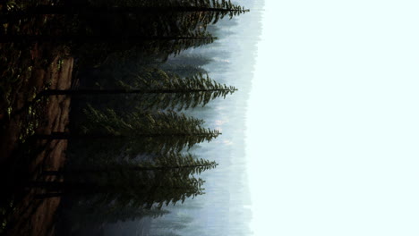 vertical-View-of-foggy-mountains